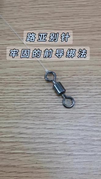 路亚绑主导(路亚绑导线教程)