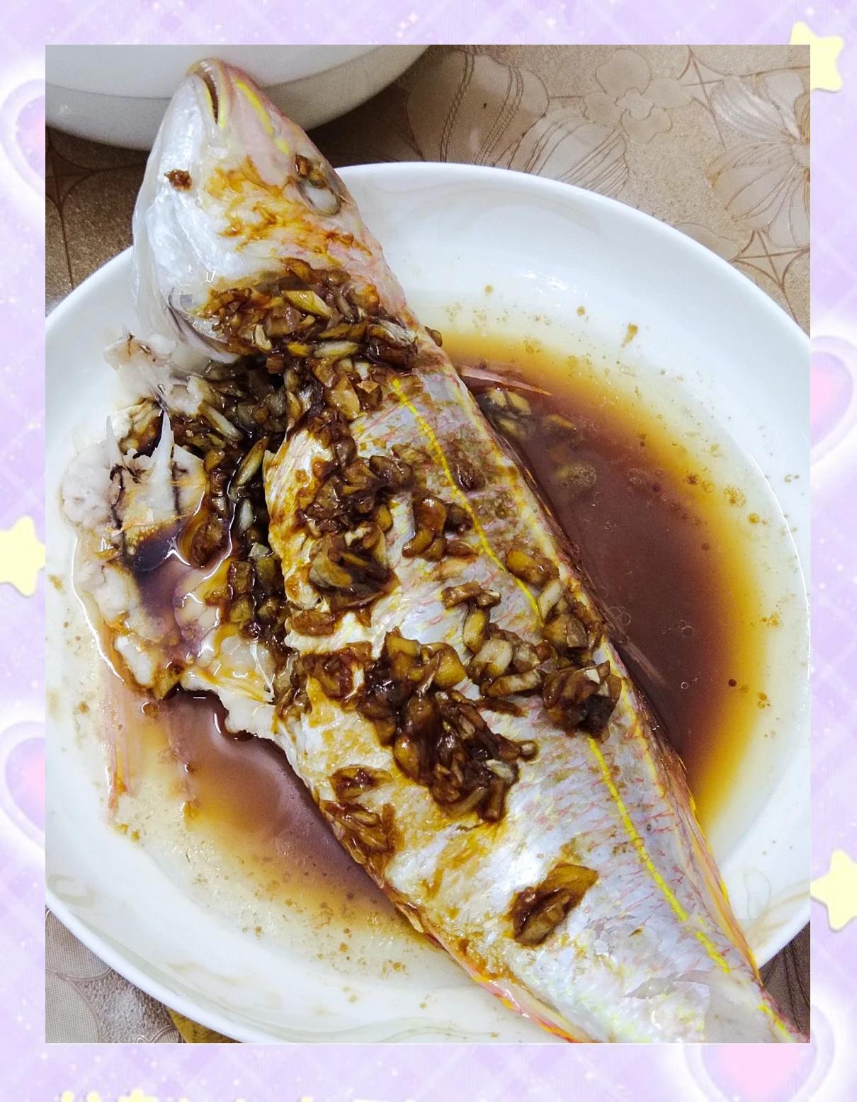 大青针海钓价格(大青针有什么鱼种)