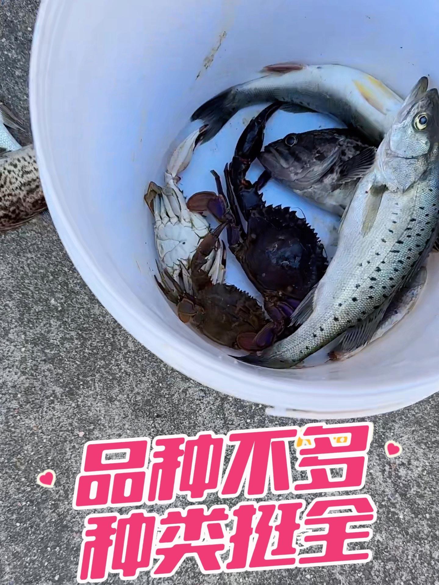 北戴河海钓微信(北戴河钓点)