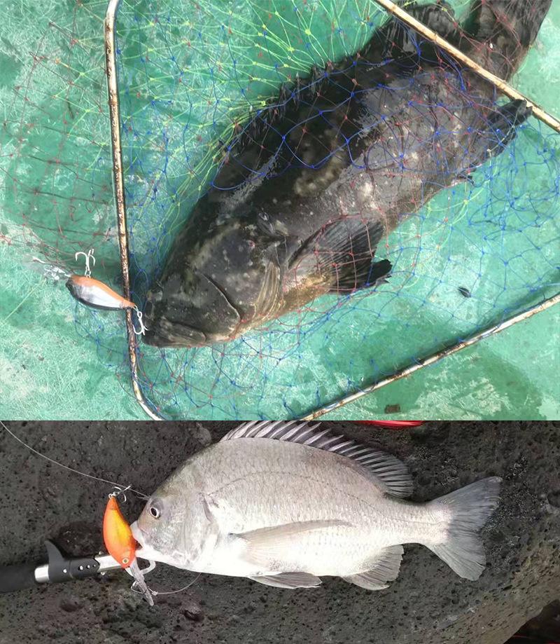 水库海钓技巧视频大全(水库海钓好还是浮钓好呢)