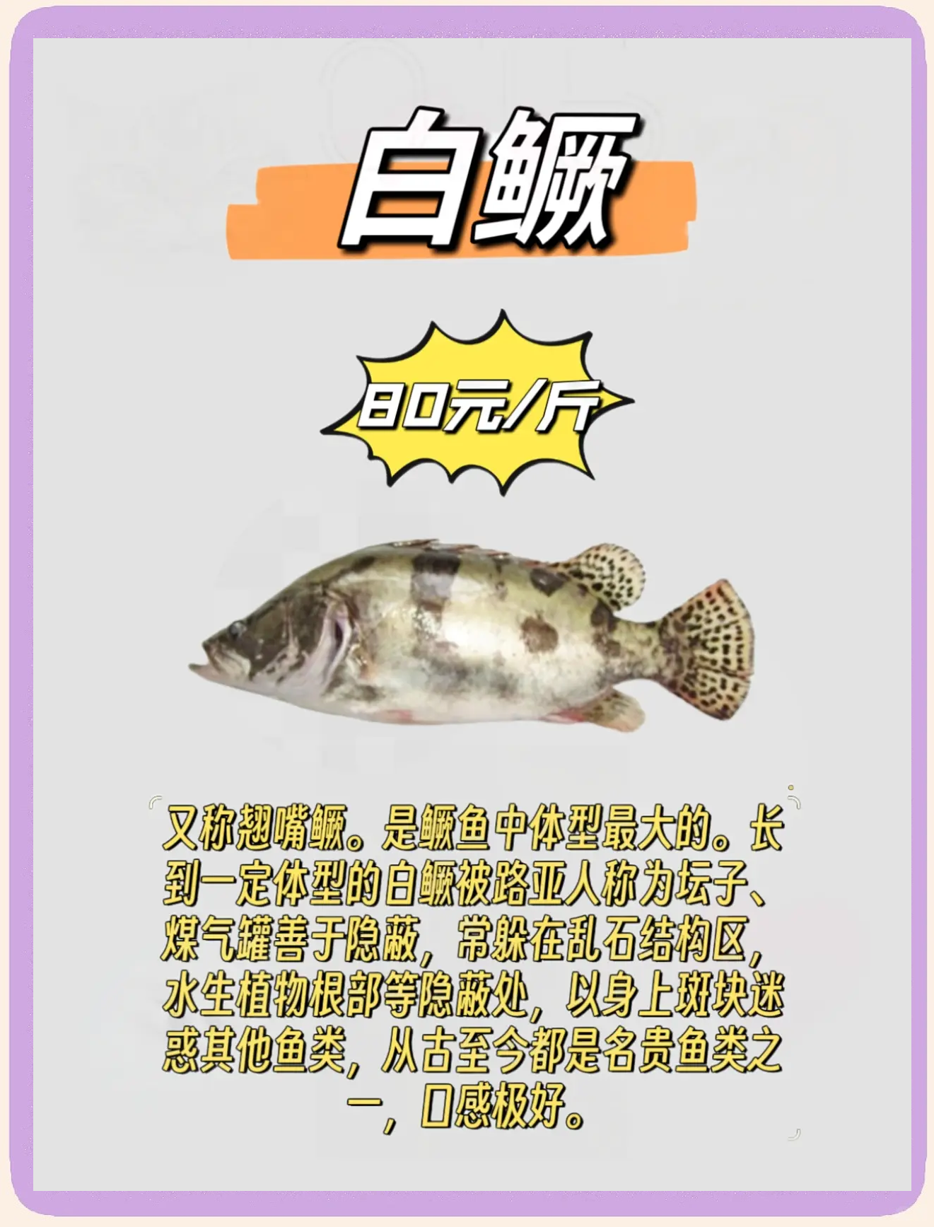 路亚钓鱼为什么费钱(路亚钓鱼为什么费钱呢)