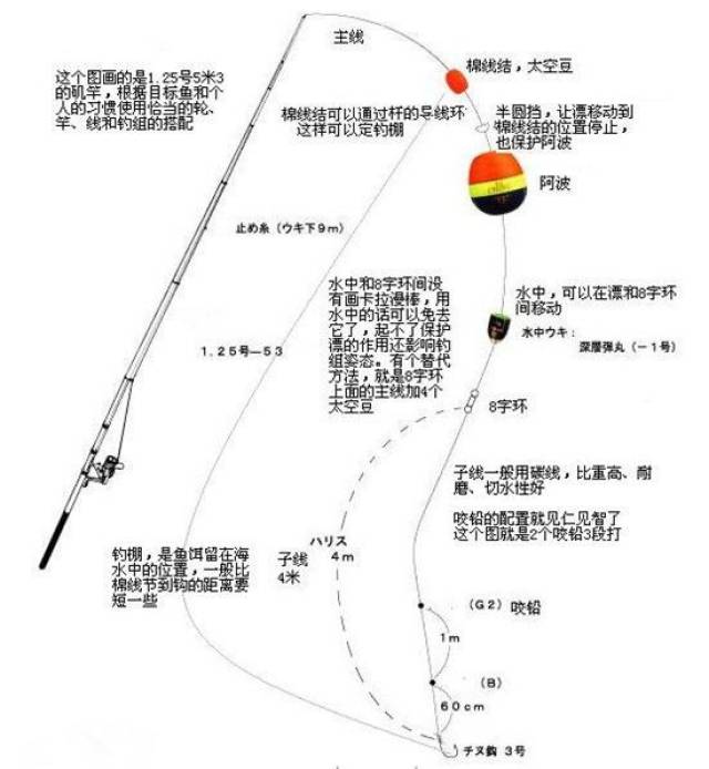 海钓俱乐部组织(海钓俱乐部收费标准)