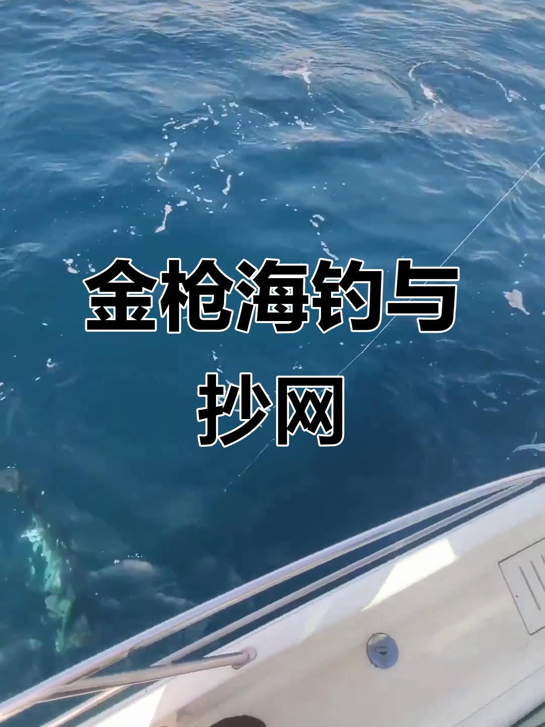 海钓抄网正确方式(钓鱼的抄网抄虾违法吗)