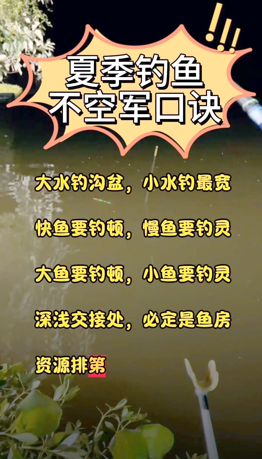 上海钓鱼规定(上海钓鱼事件违反了什么原则)