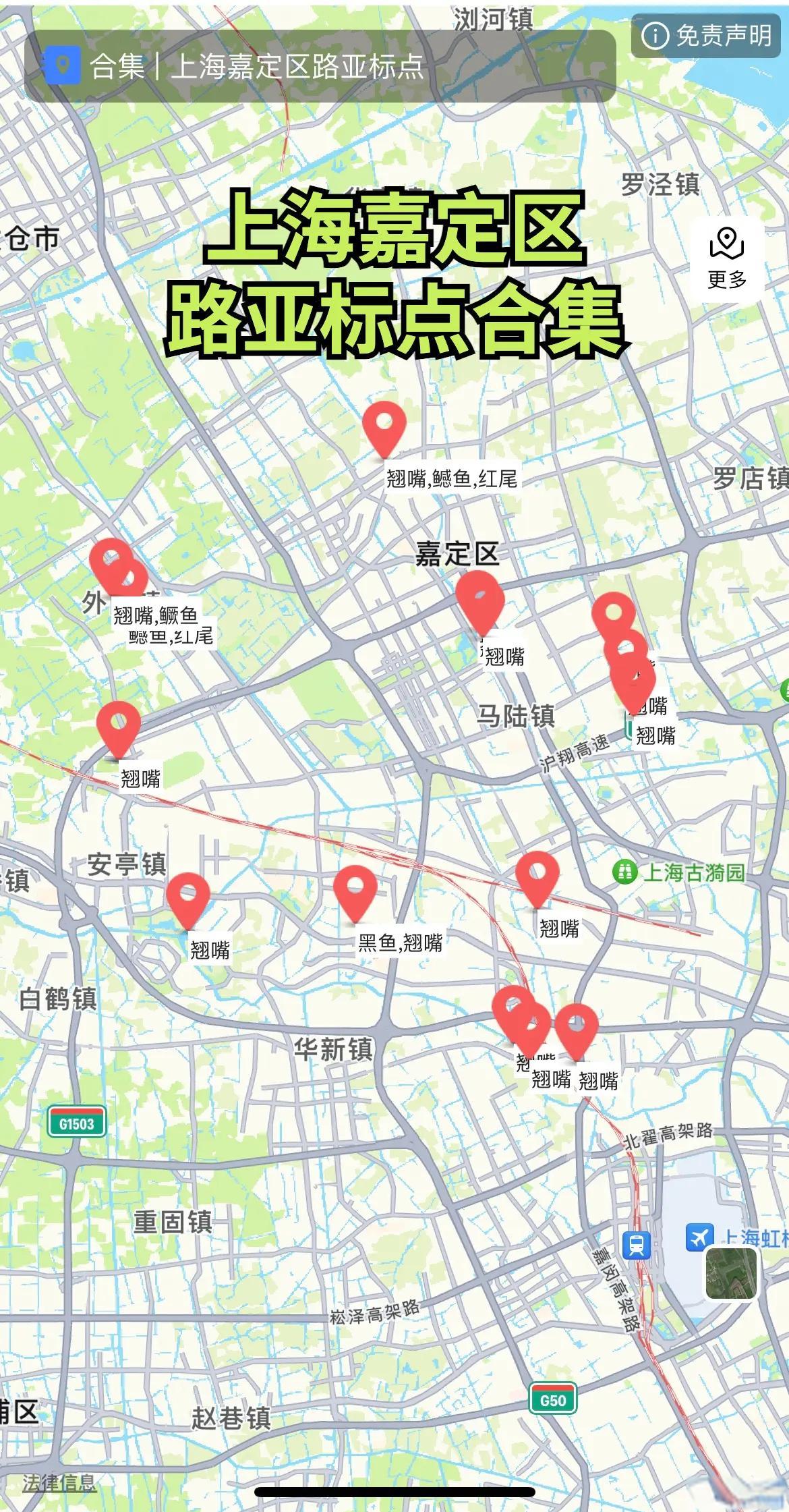 上海钓鱼规定(上海钓鱼事件违反了什么原则)
