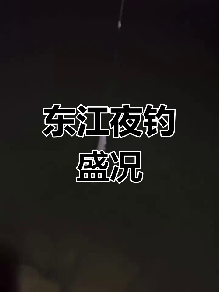 东江夜钓技巧(东江钓鱼有人管吗)
