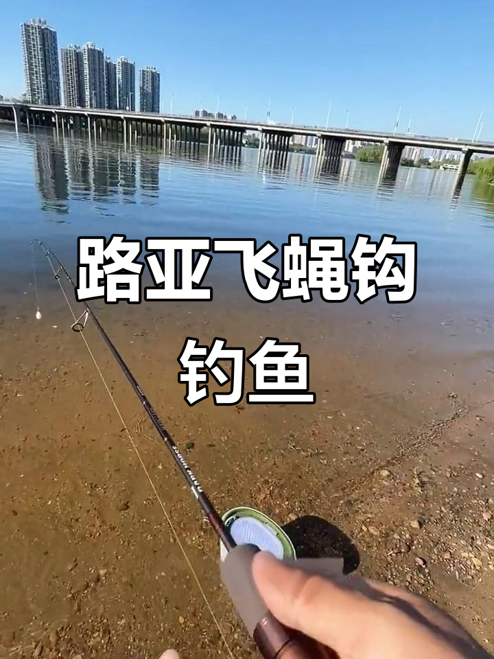 路亚钓小鱼视频(路亚钓小鱼怎么钓)