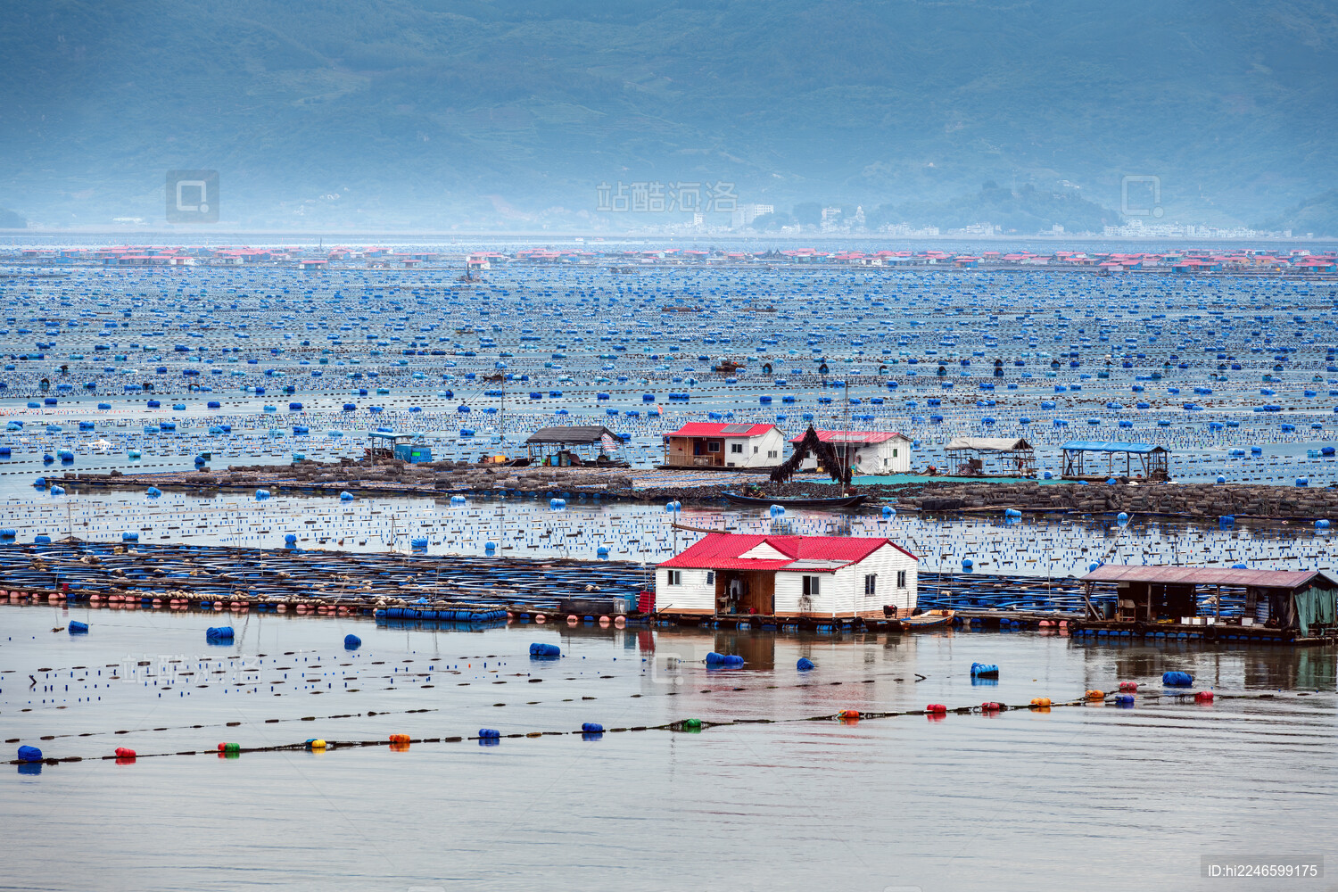 宁德海钓地点(宁德海钓地点有哪些)
