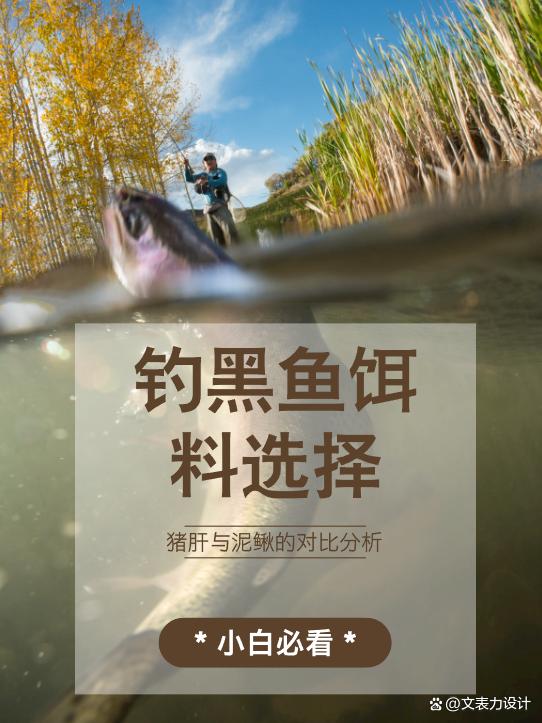 钓黑鱼饵料(钓黑鱼饵料绑钩法)