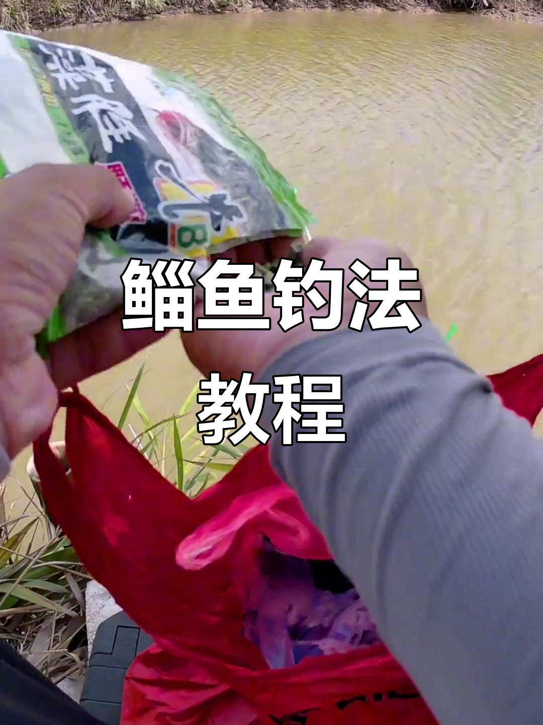鲻鱼神经饵料配方(钓鱼用的神经诱导剂好用吗)