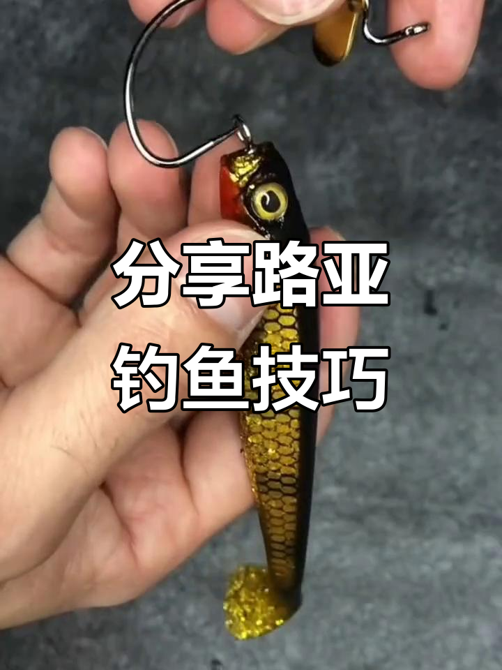 路亚黄鱼技巧(路亚怎么钓黄刺鱼)