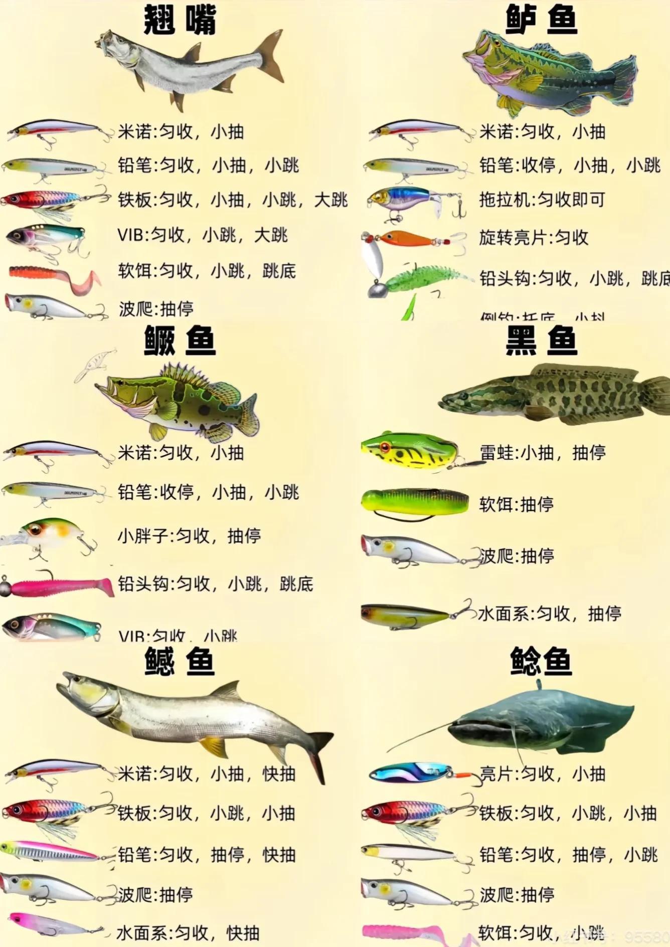 路亚假饵软虫绑法(路亚软虫绑法视频)