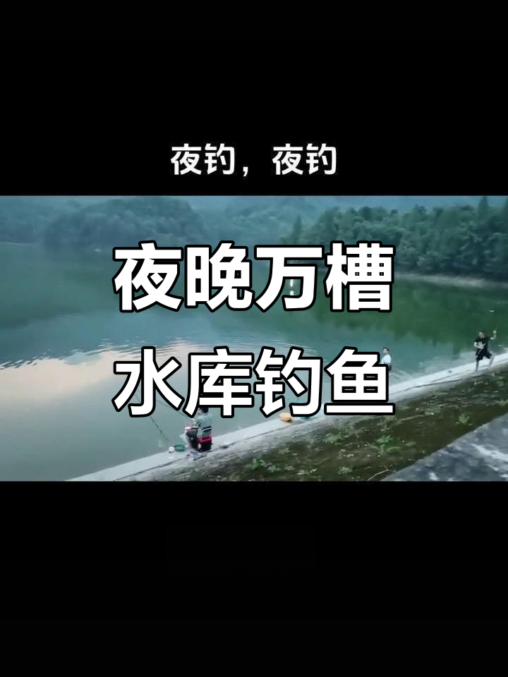 水库夜钓技巧视频(水库夜钓怎么选钓位)
