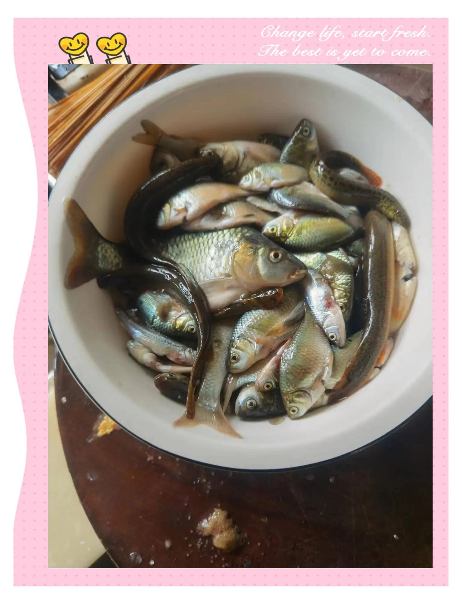 河里钓鲫鱼的技巧(河里野钓鲫鱼怎么调漂)