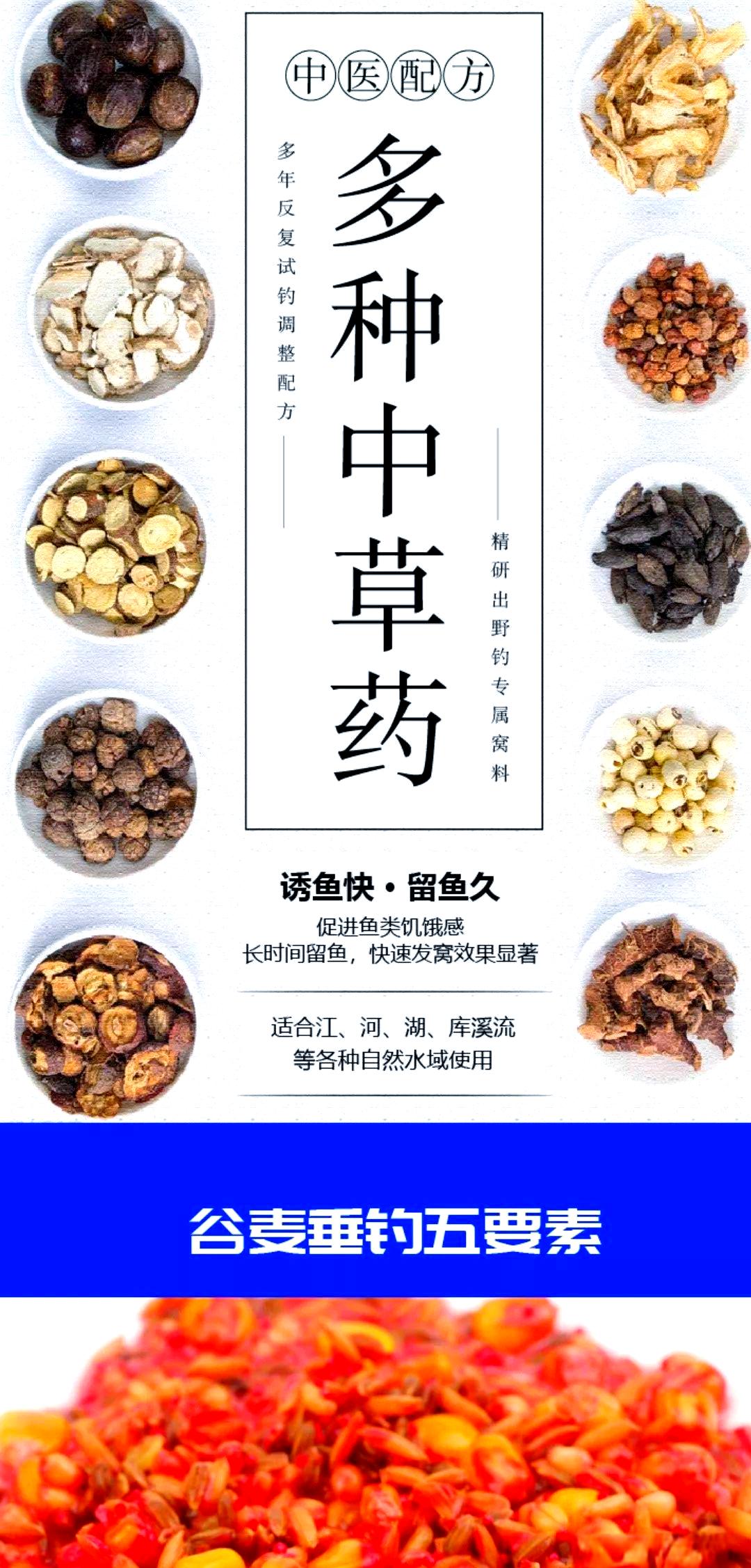 钓鲤鱼的技巧和钓点(钓鲤鱼的方法视频教学)