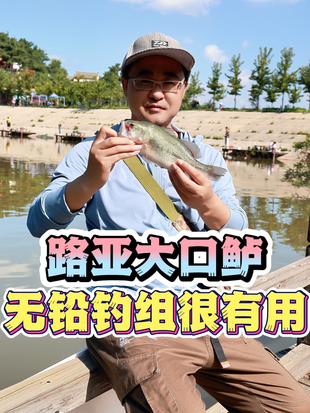 路亚怎么路鲈鱼(路亚鲈鱼教程视频全集)