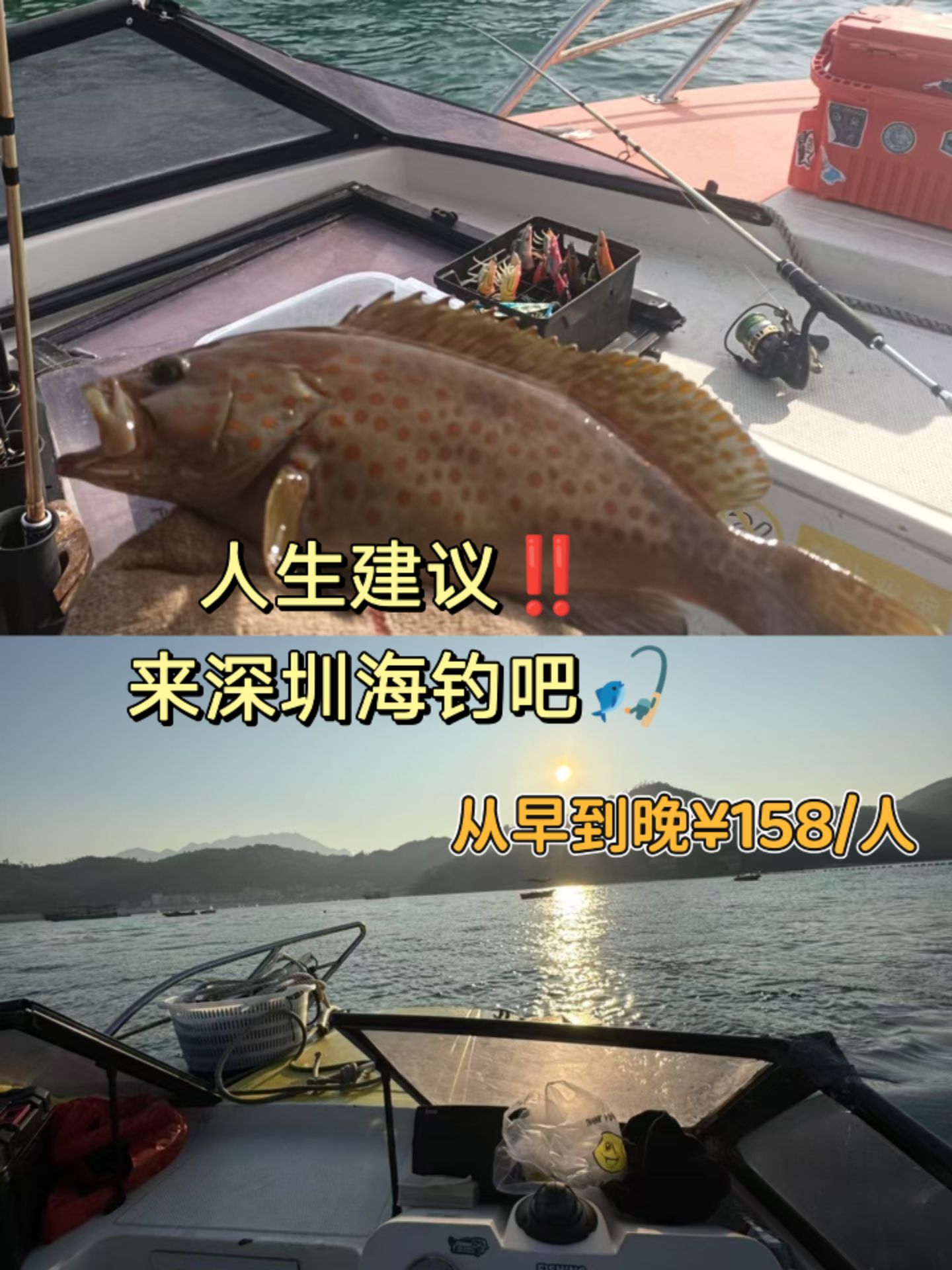 海钓日记凌晨(海钓趣事)