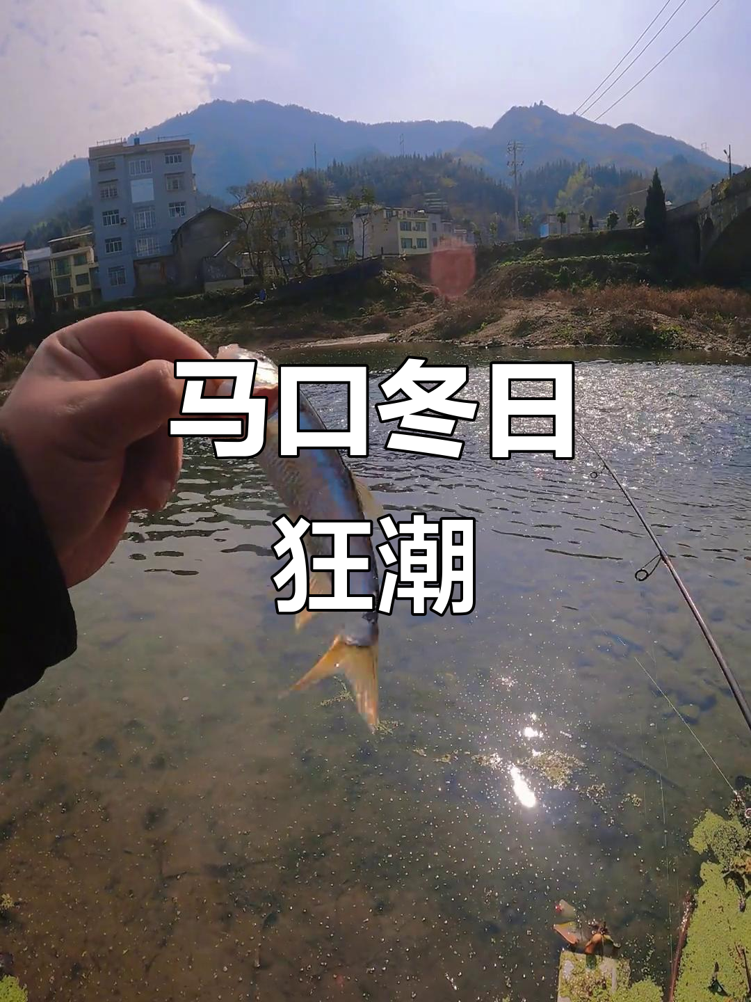 路亚马口冬(路亚马口钓法)