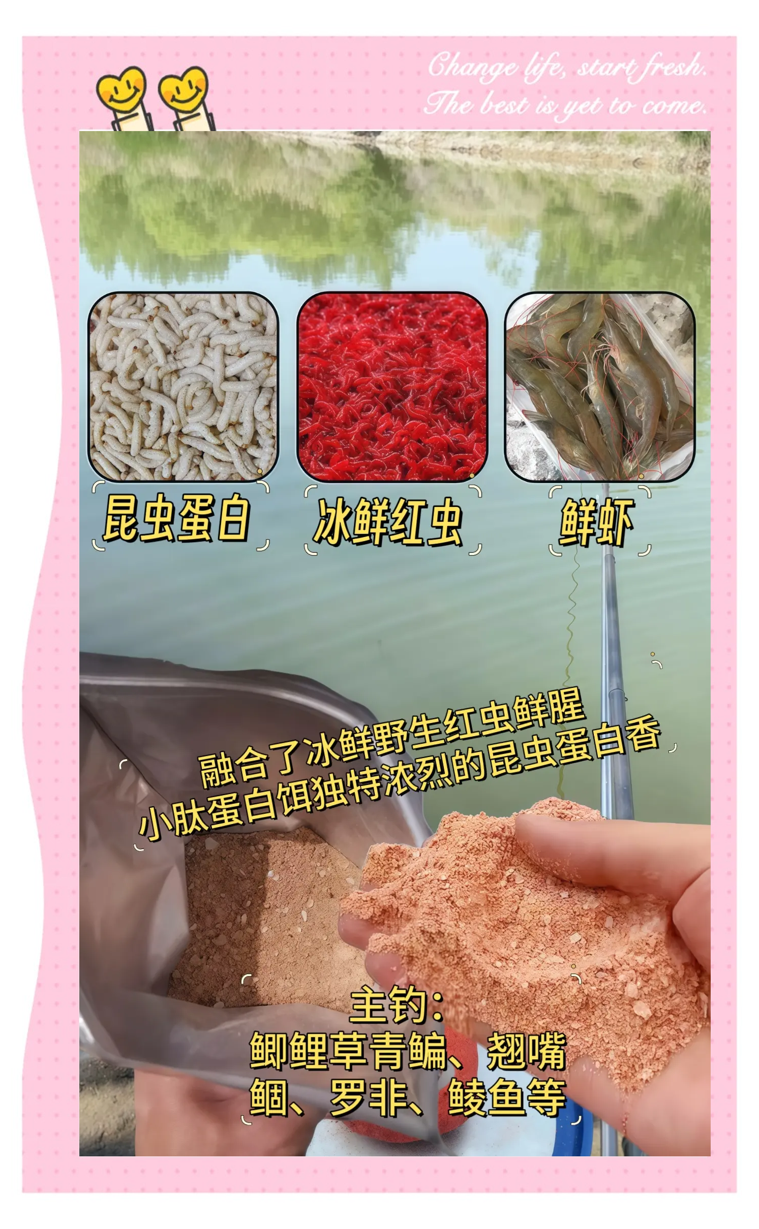 红虫泡酒饵料(红虫酒的制作及效果)