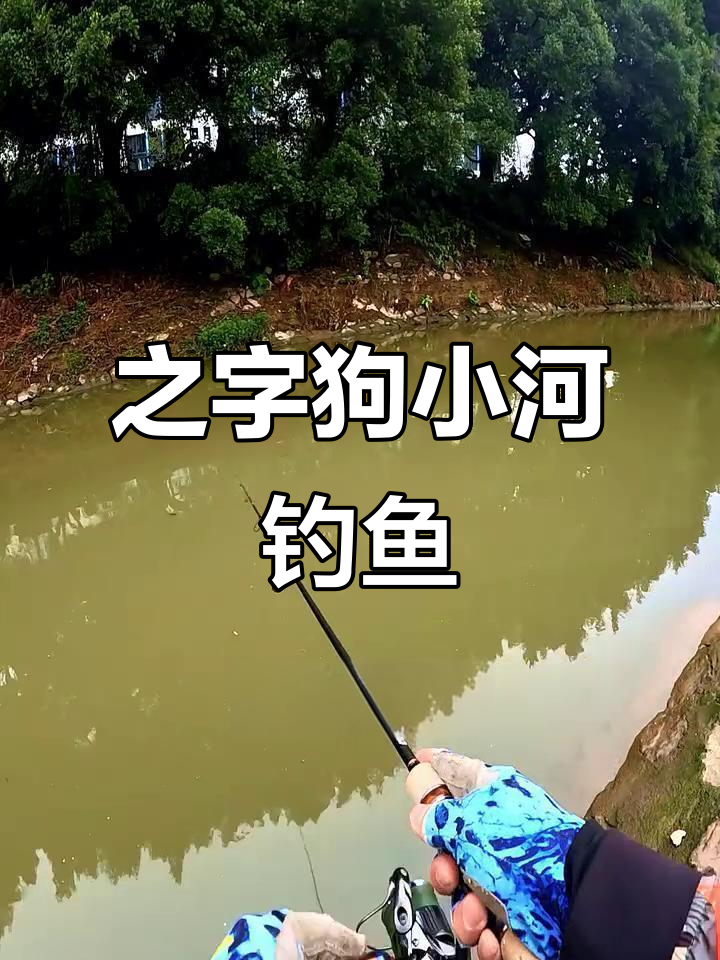 钓自条技巧视频(自钓自抄技巧)