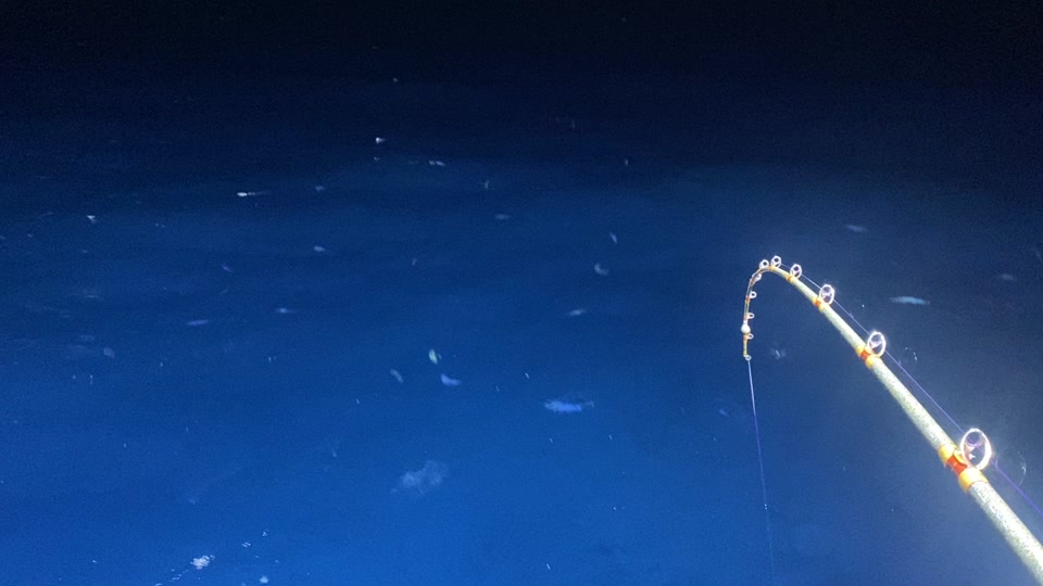 海钓鱼塘(海钓鱼塘哪里来的水最好)