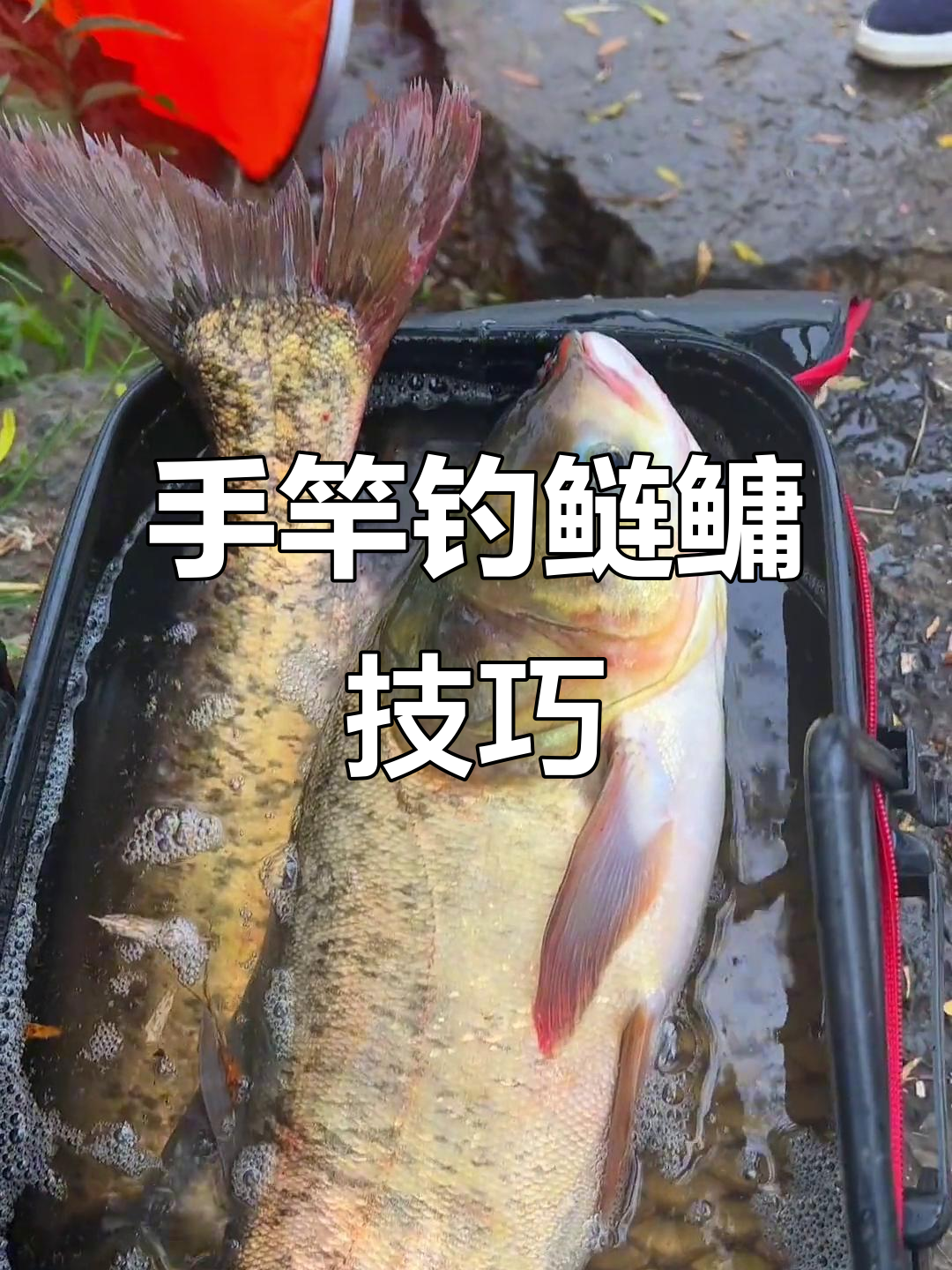 水库底钓鲢鳙技巧(水库钓鲢鳙鱼技巧)