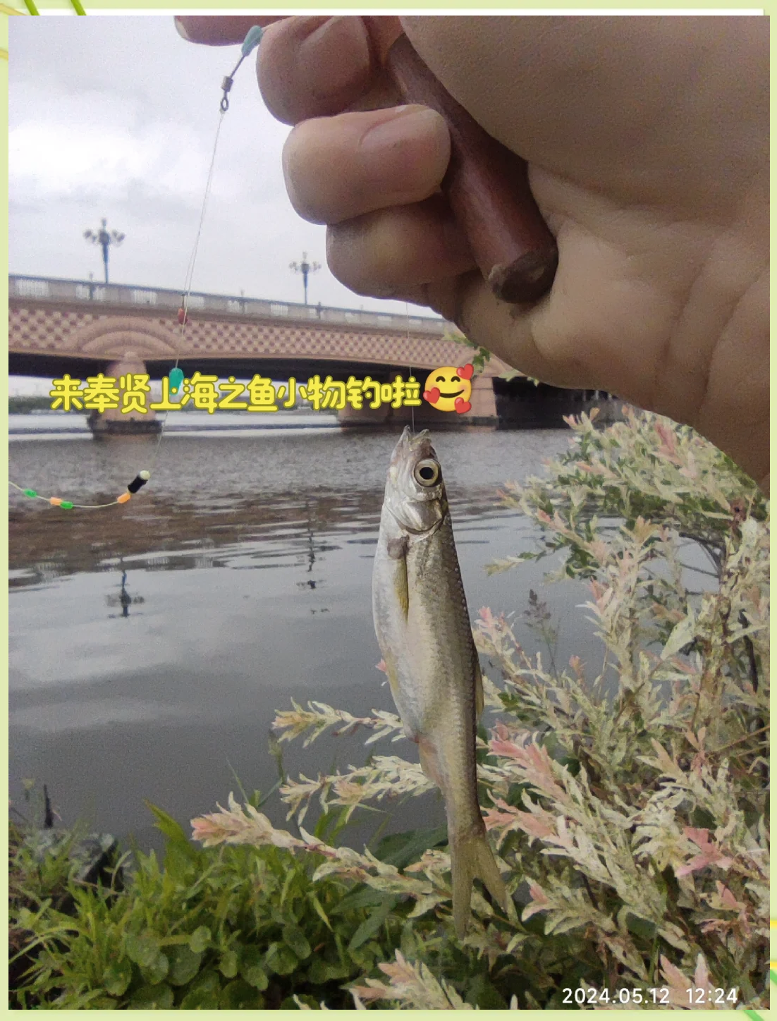 上海钓鱼资源好少(上海的钓鱼场大全)