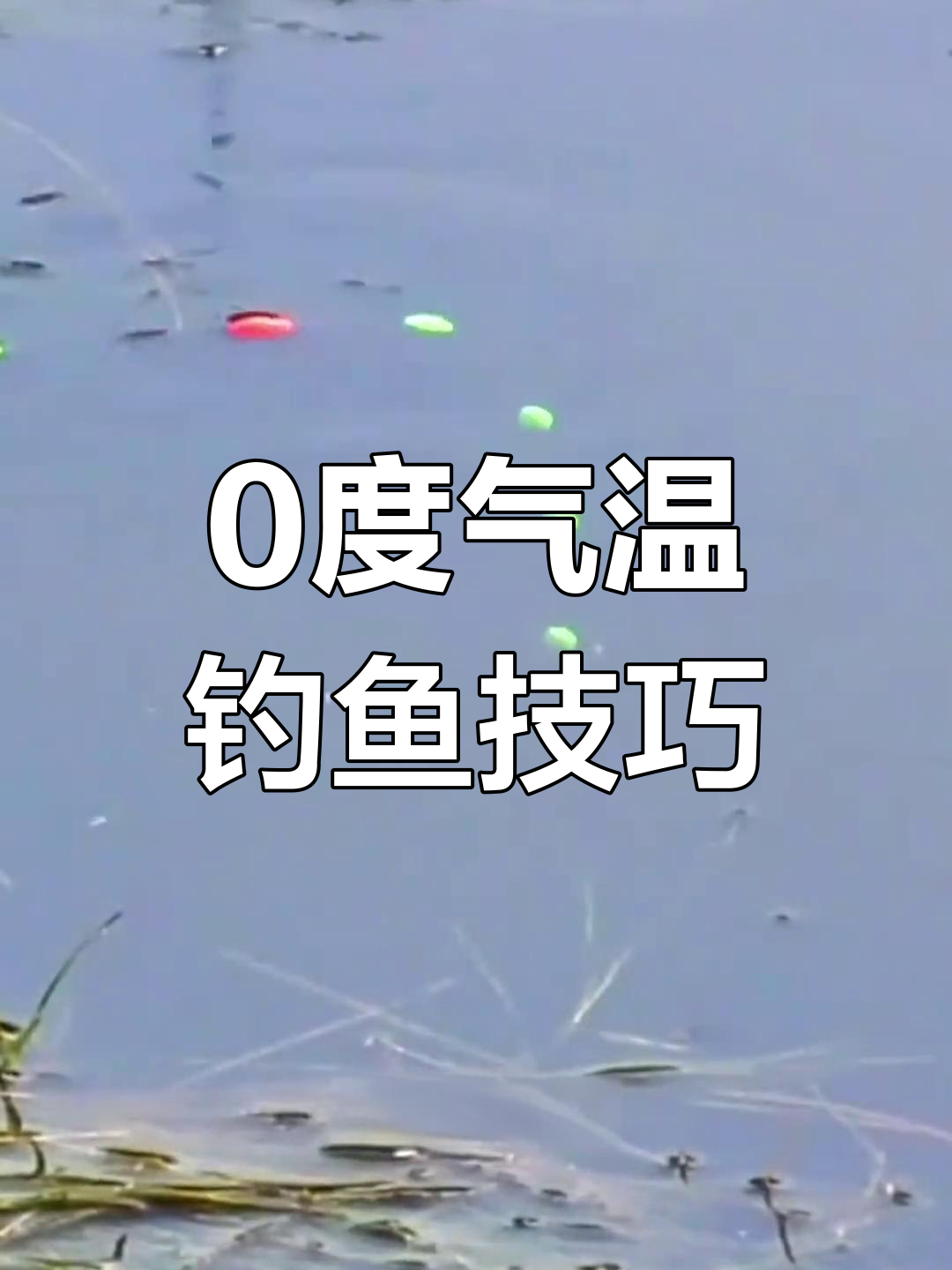 浅水台钓鲫鱼技巧(水浅台钓怎么钓)