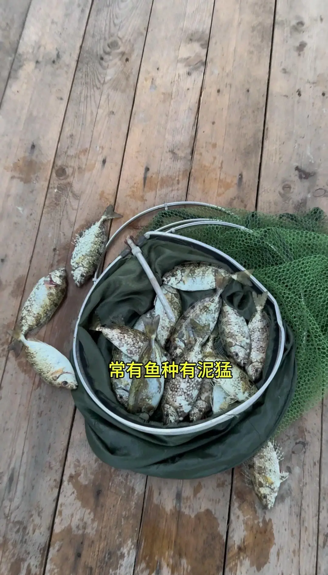 石岛鱼排海钓(石岛海钓岸钓地点)