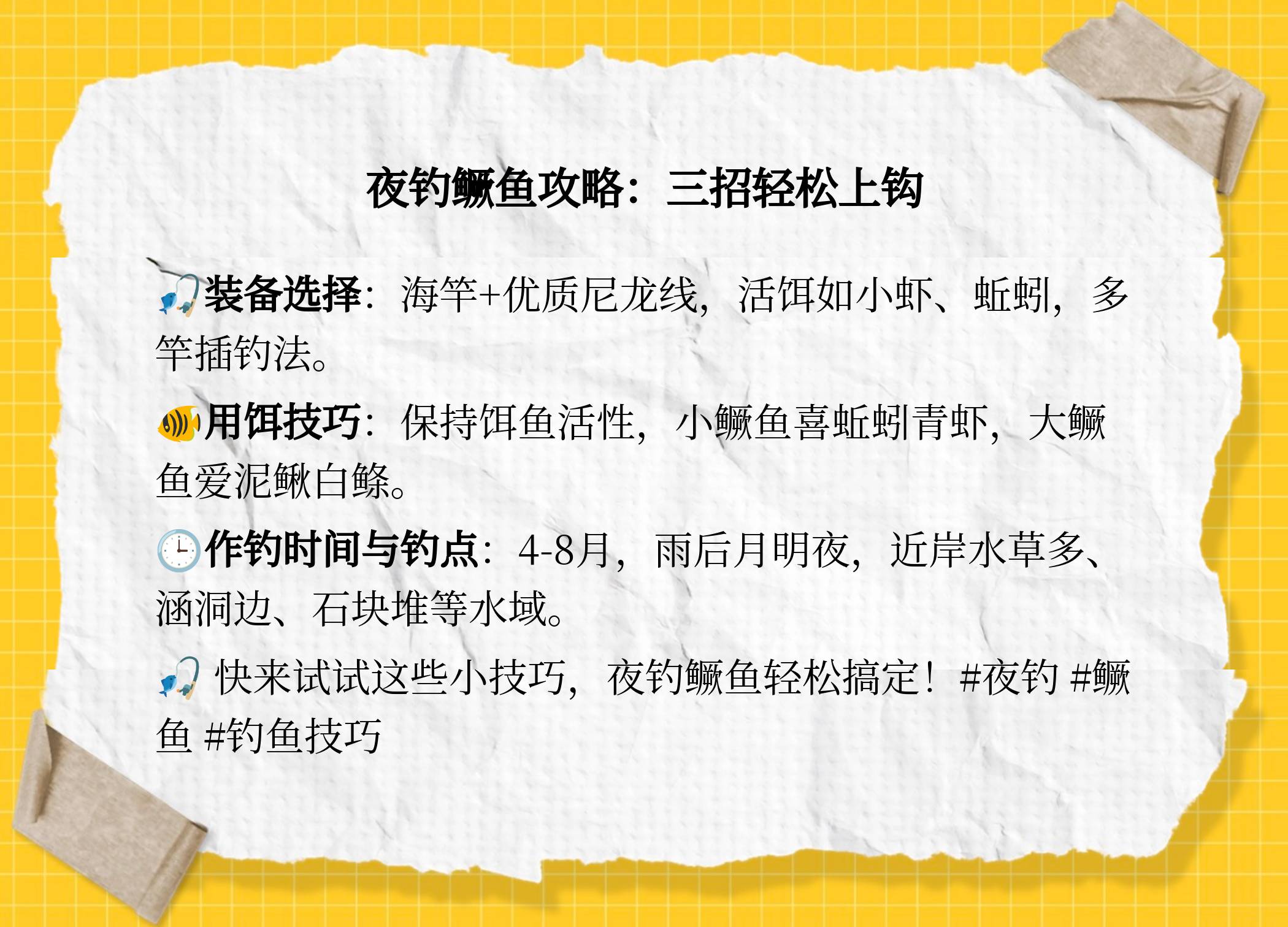 春季夜钓钓鱼技巧视频(春季夜钓钓鱼技巧视频讲解)