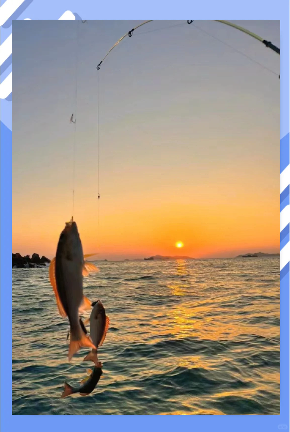 天津东疆海钓地点(天津海边东疆港海边门票多少钱)