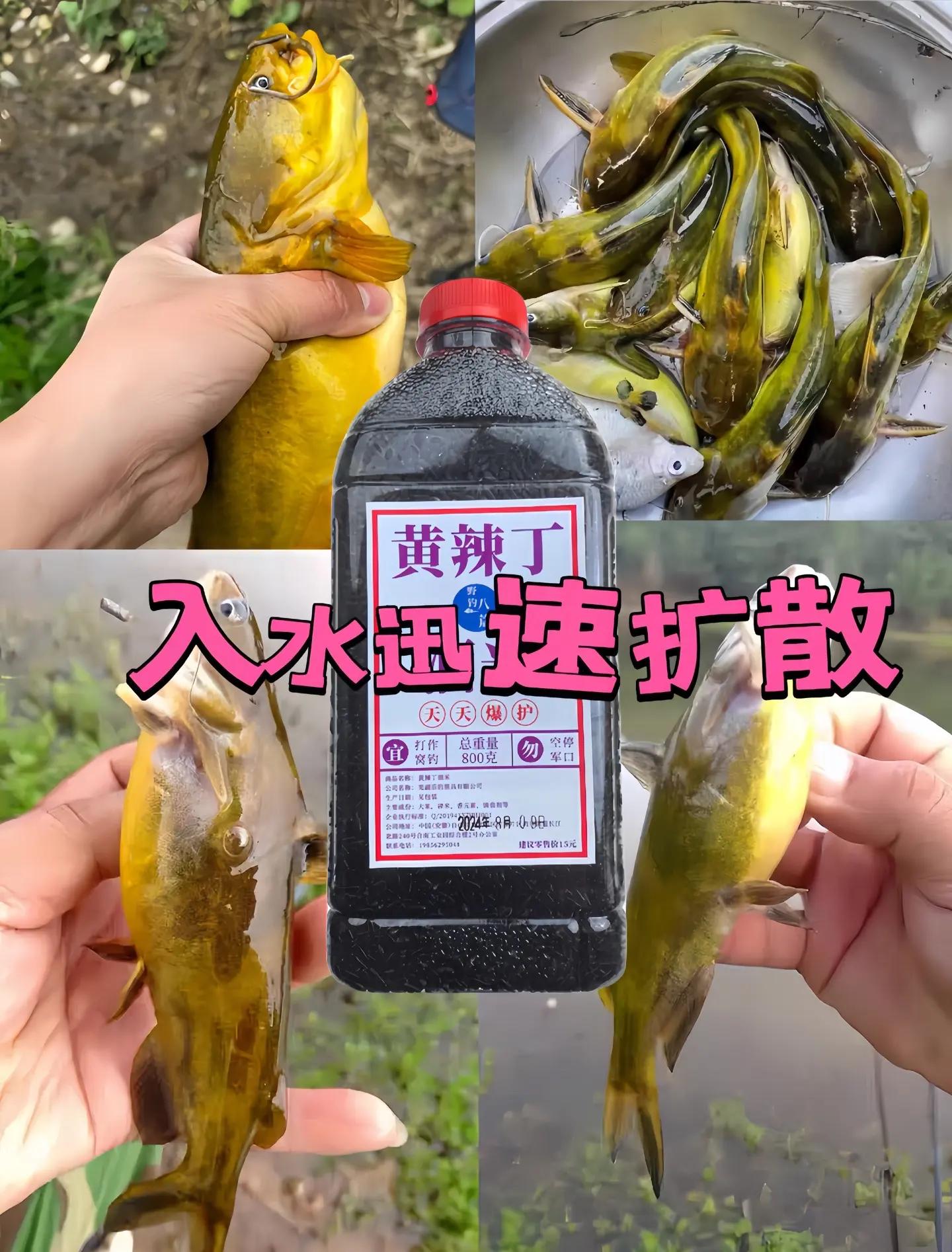 腥型饵料用法(腥饵配方)