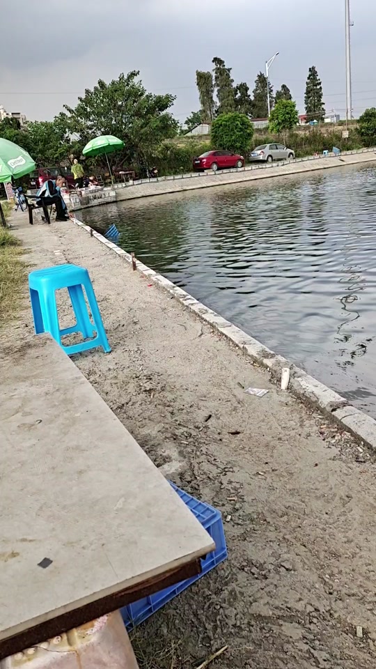 东莞的海钓场(东莞海钓场六千元一小时)