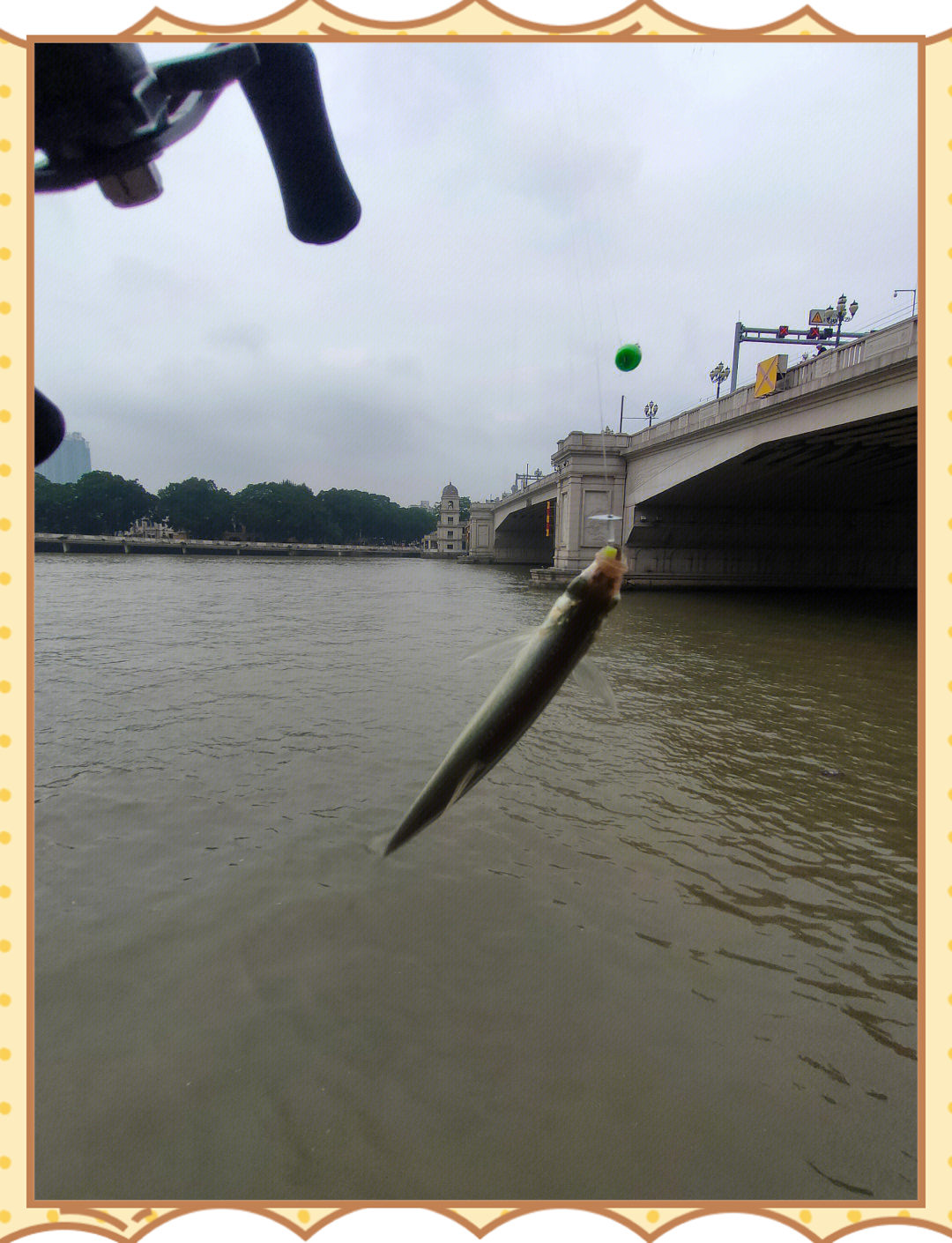 冬季能路亚白条(冬季路亚白条用什么饵最好)