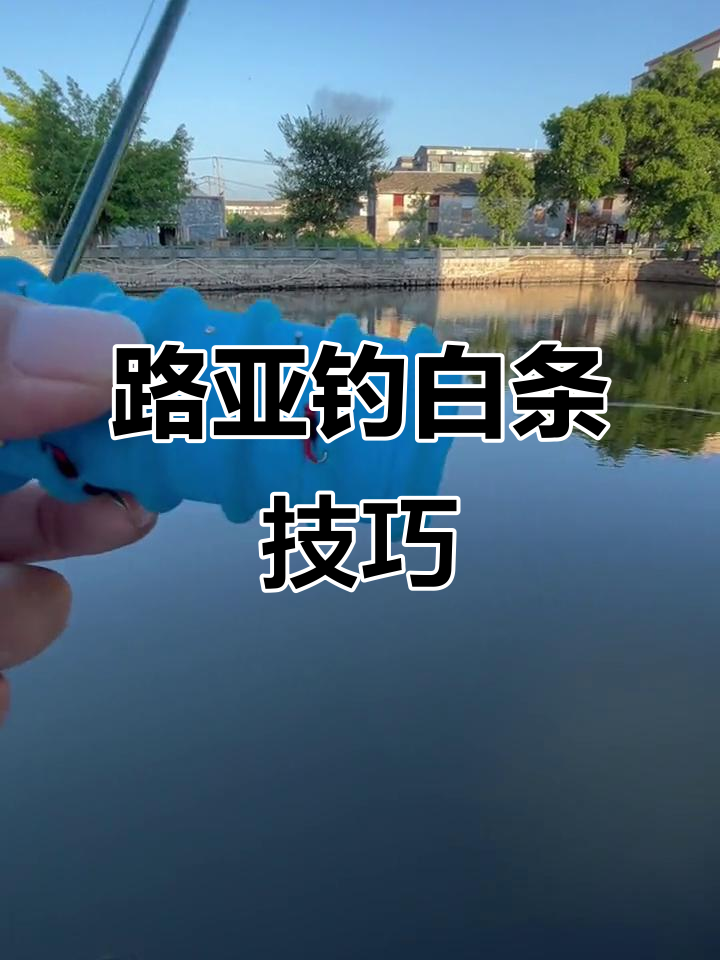 路亚勾到手(路亚钩到手)