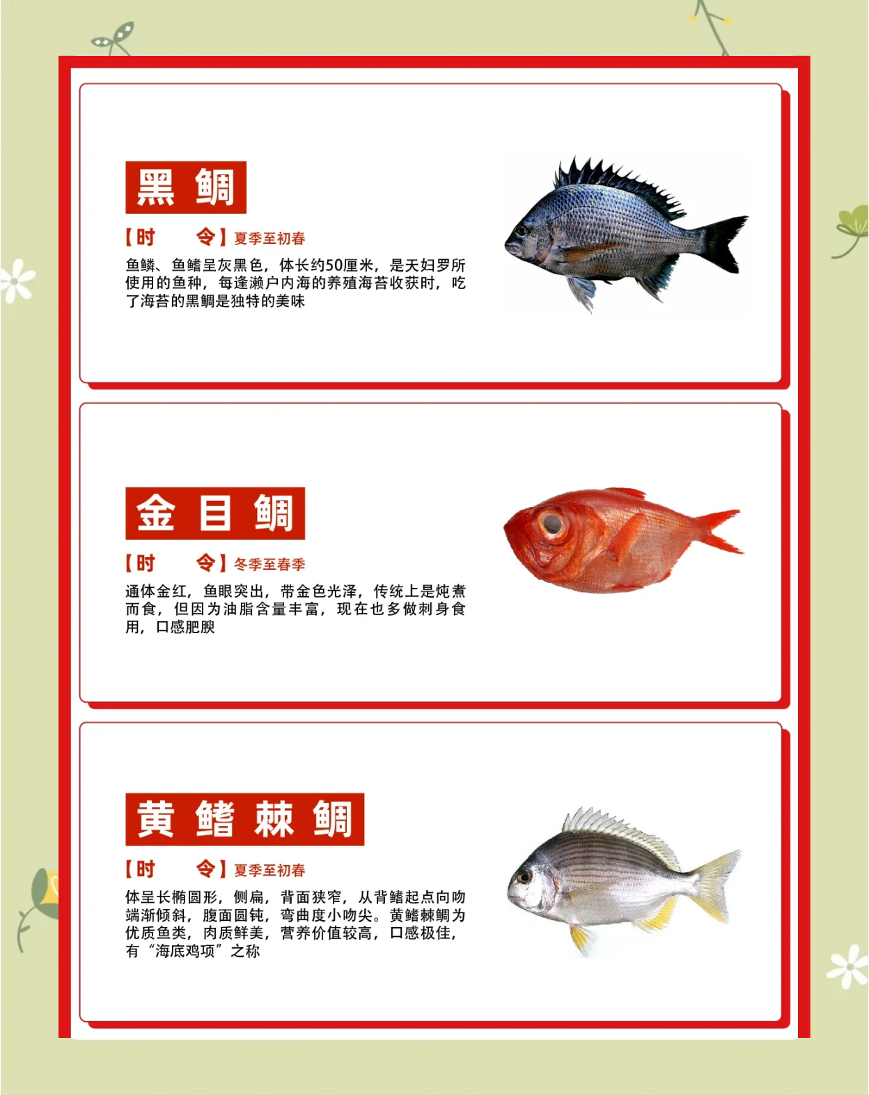 海钓黑鲷时间(海钓黑鲷鱼水流和打窝的位置)