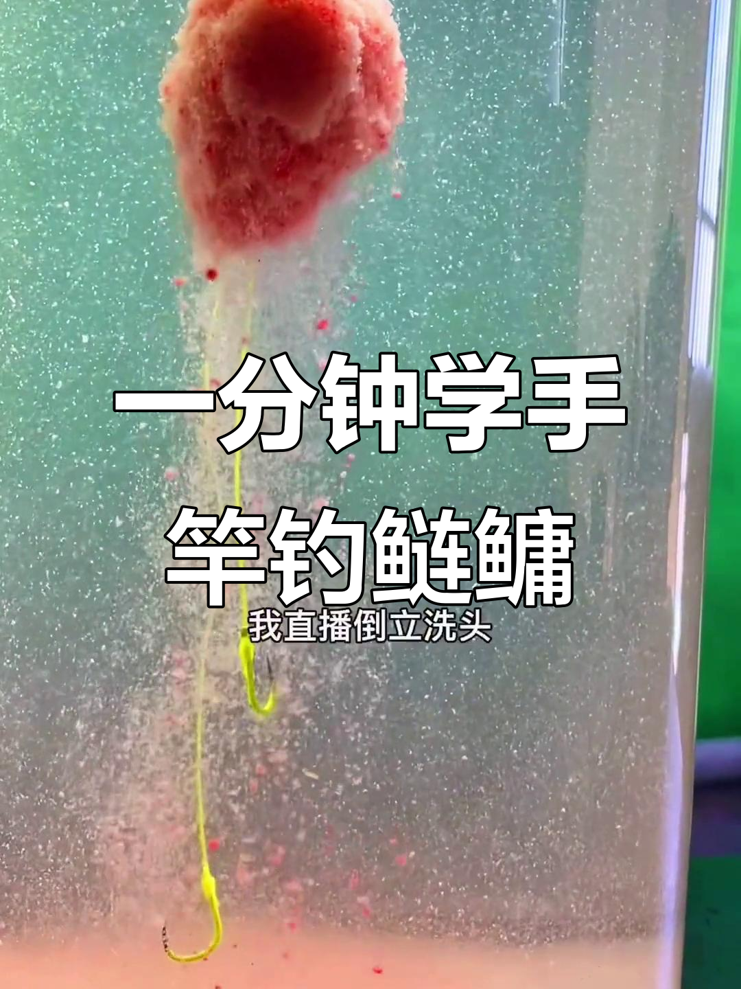 夜钓手杆鲢鳙技巧(夜钓鲢鳙怎么钓多深)