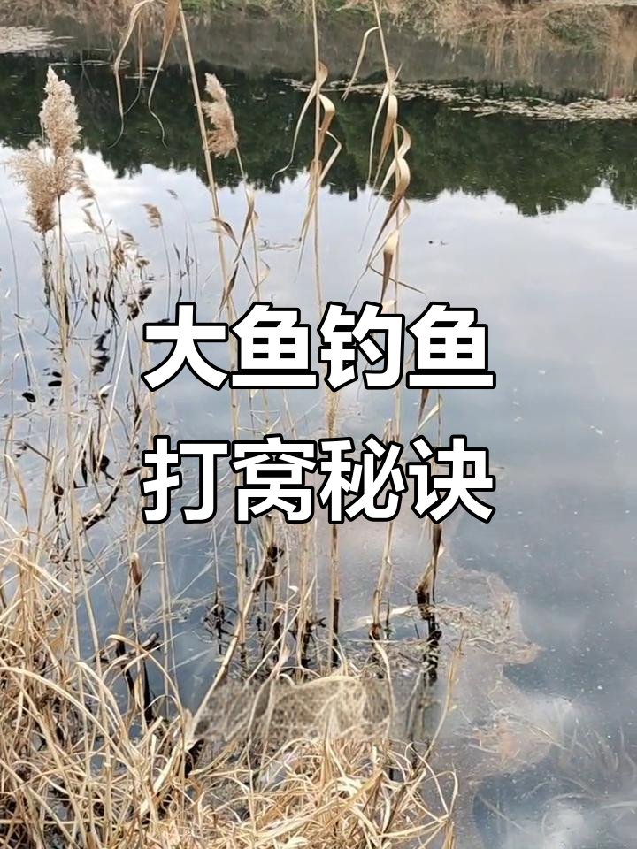 冬天钓大鱼打窝技巧(冬天钓大鱼用什么打窝)