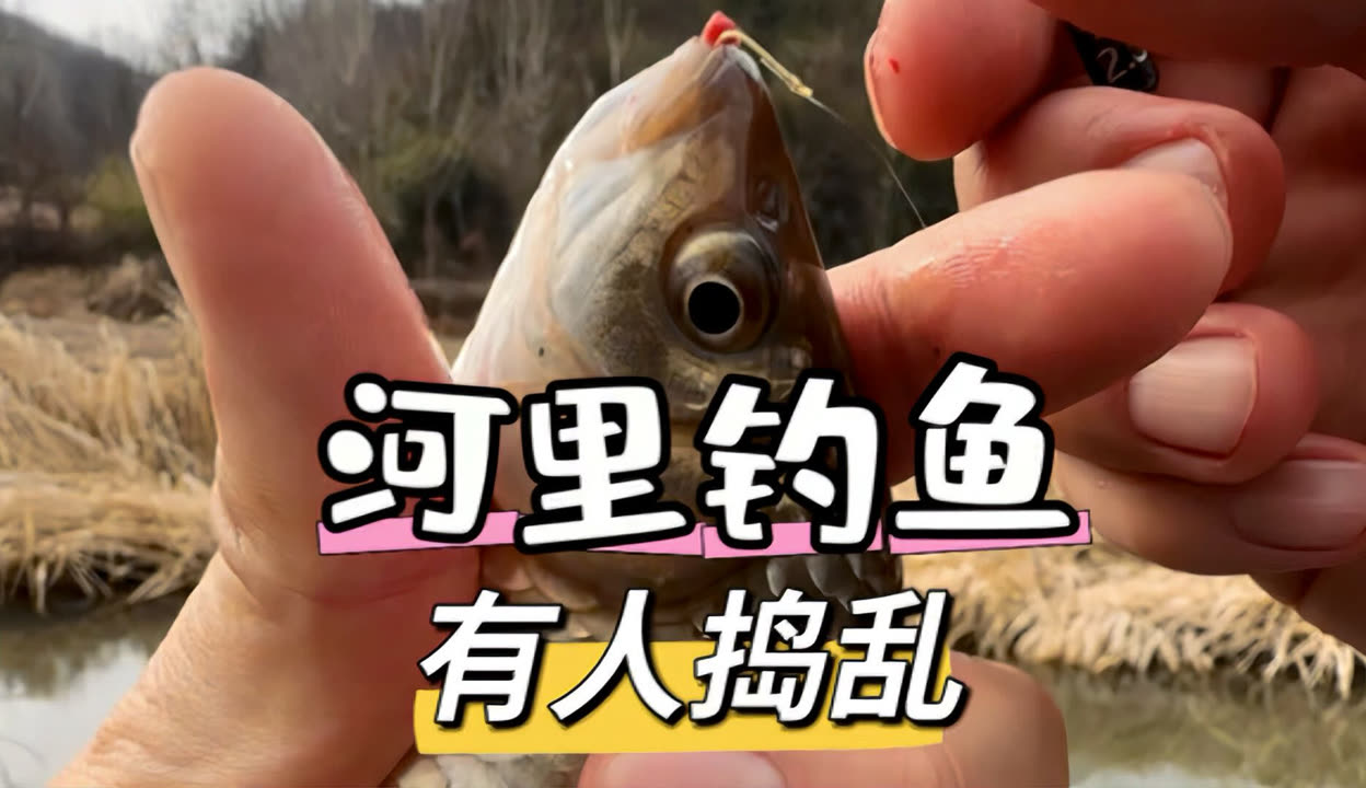 北方秋天钓河鱼技巧(北方秋天钓鱼钓深水还是浅水)