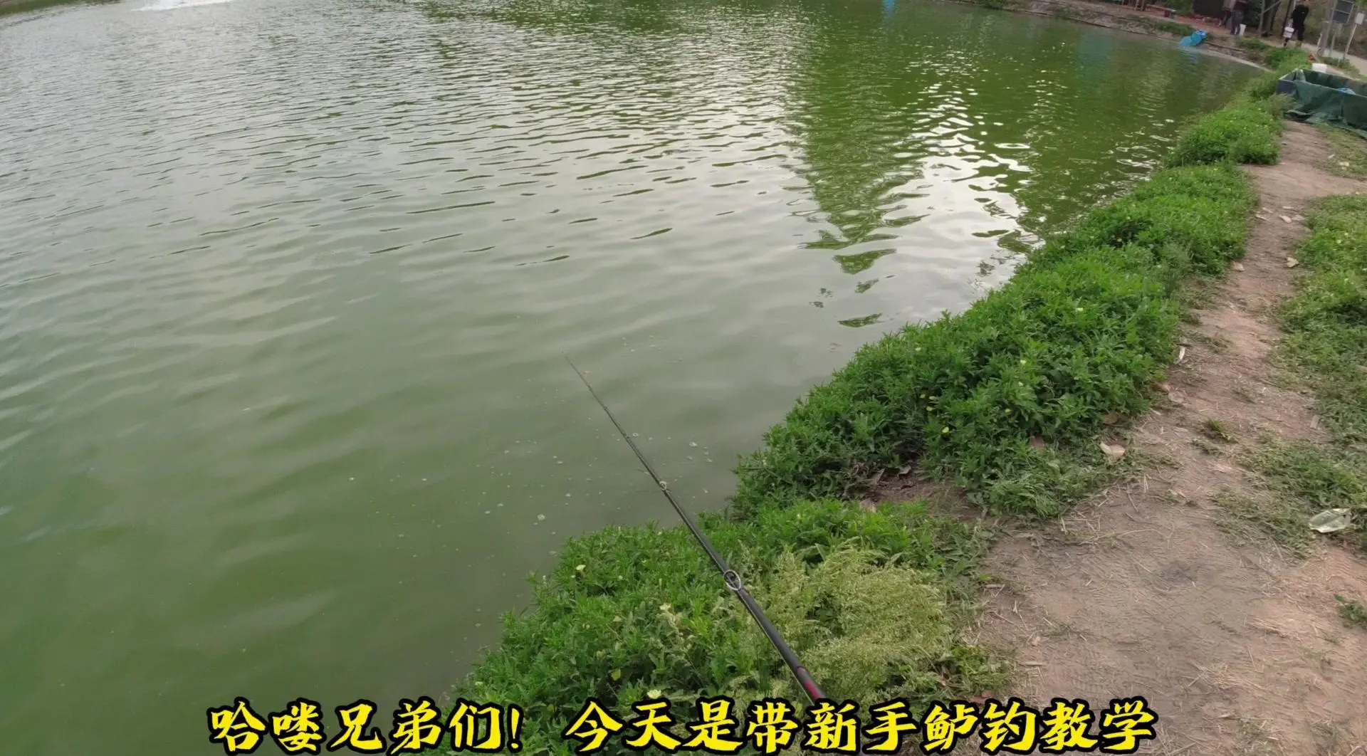 路亚瓶子钓鱼(路亚放鱼)
