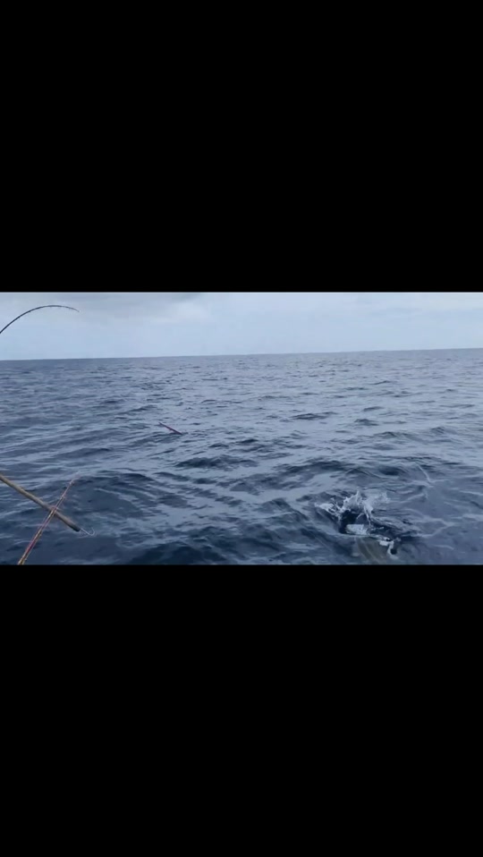 台湾海峡深海钓(台湾海峡能钓到什么鱼)