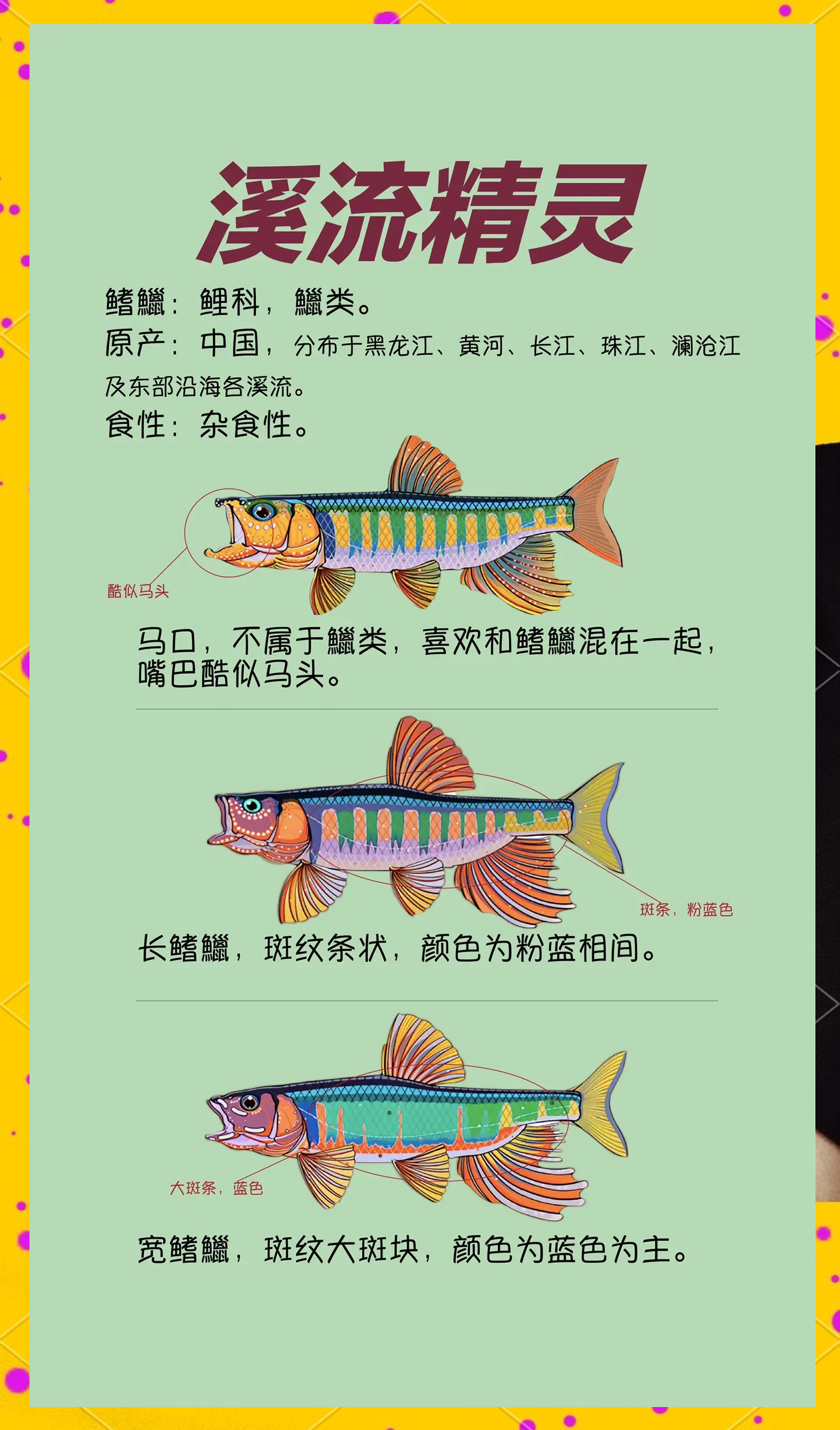 溪流浮钓技巧(溪流钓浮漂的制作方法)