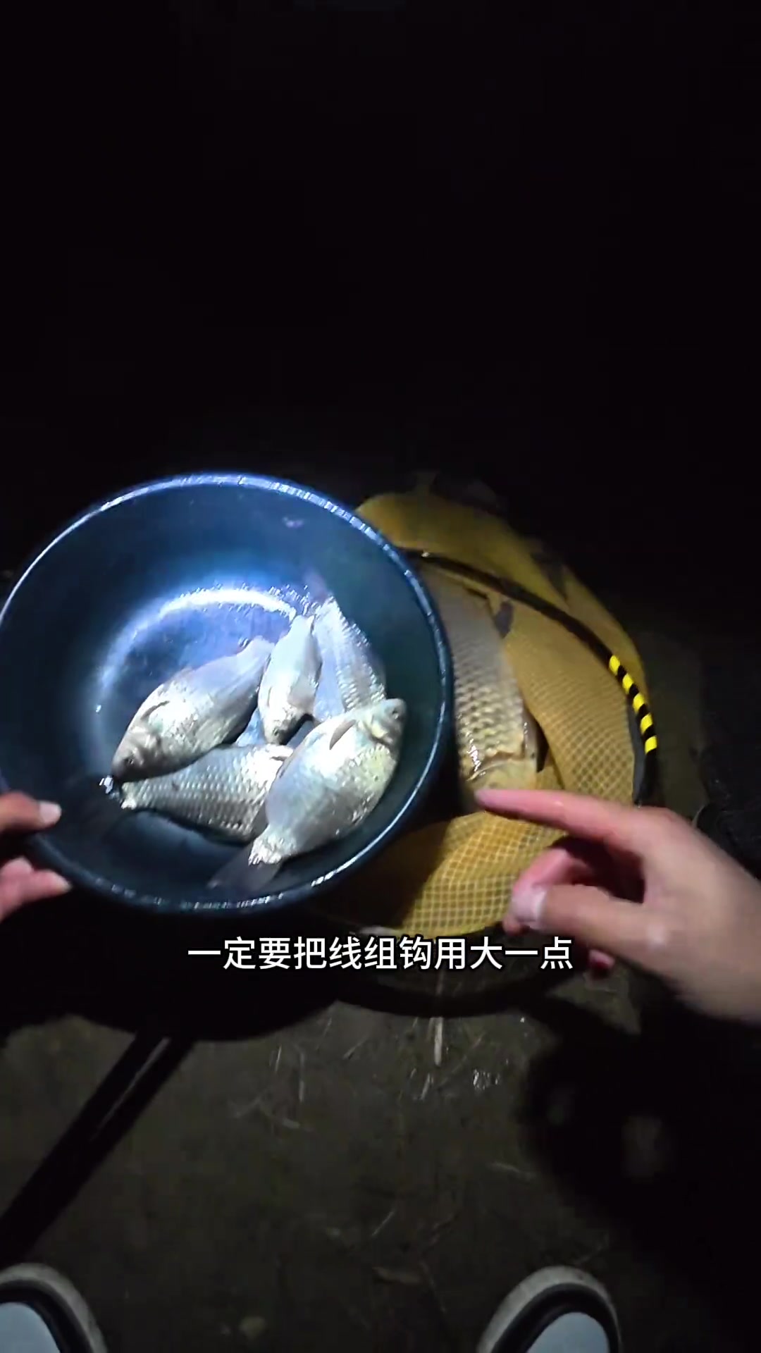 夜晚野钓鲤鱼技巧(夜晚鲤鱼怎么钓)