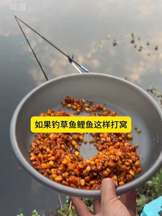 湖钓草鱼鲤鱼技巧(湖库钓草鱼打什么窝料)