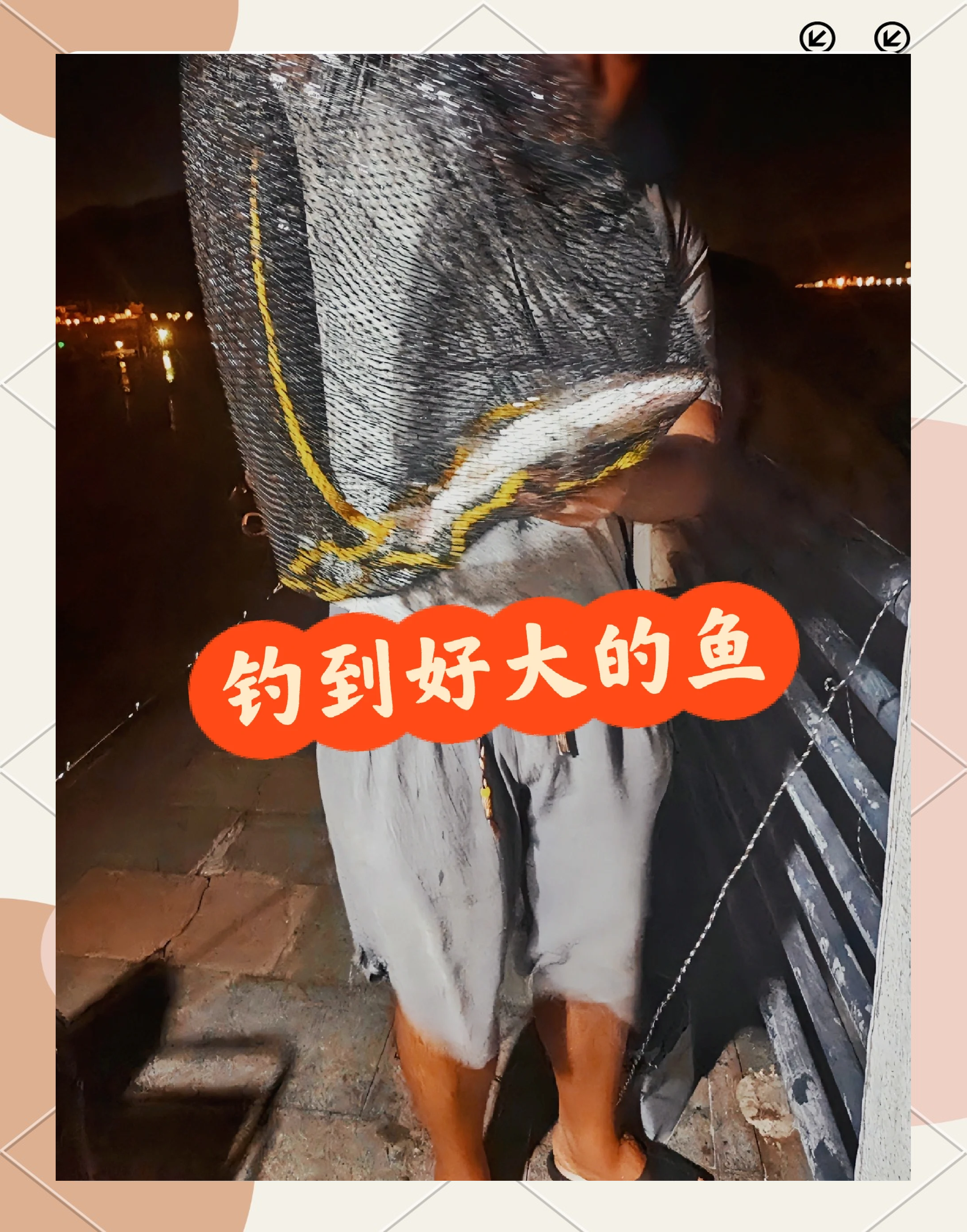 晚上海钓能钓什么鱼(晚上海钓能钓什么鱼类)