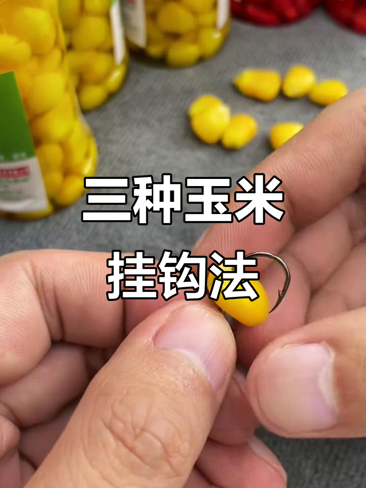 玉米饵料怎么挂钩(玉米饵料怎么挂钩视频)