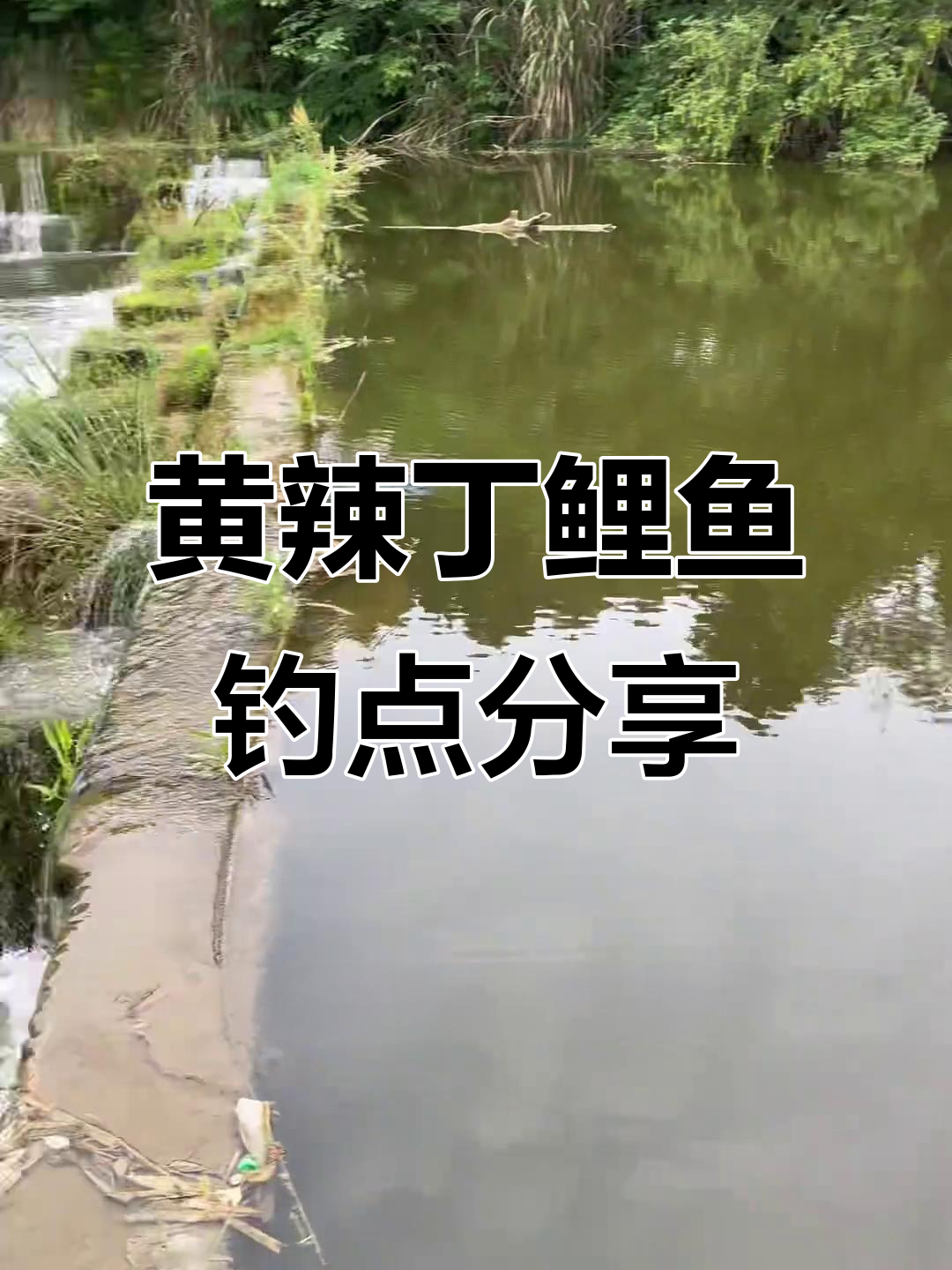 水库钓鲤鱼草鱼技巧(水库钓草鱼技巧全攻略)