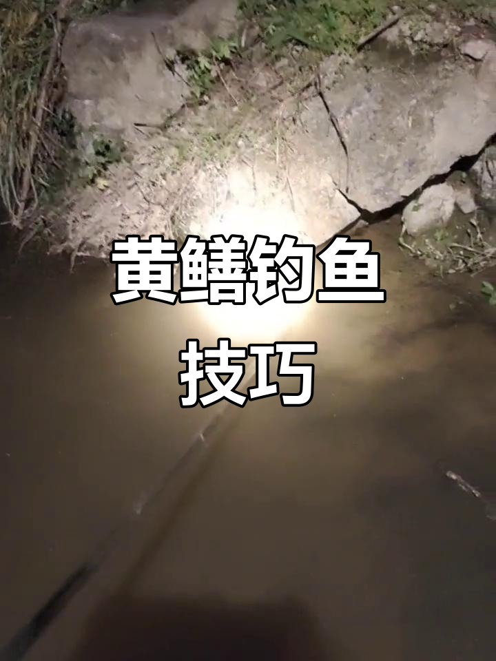 河里钓黄鳝技巧(河里黄鳝怎么钓)