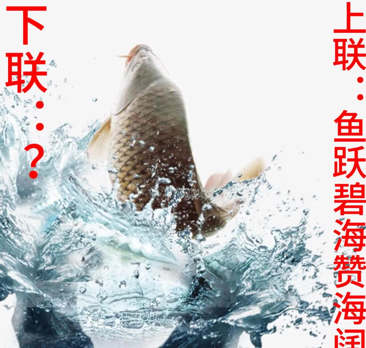 四海钓鱼钓技百事通(四海钓鱼频道节目表)