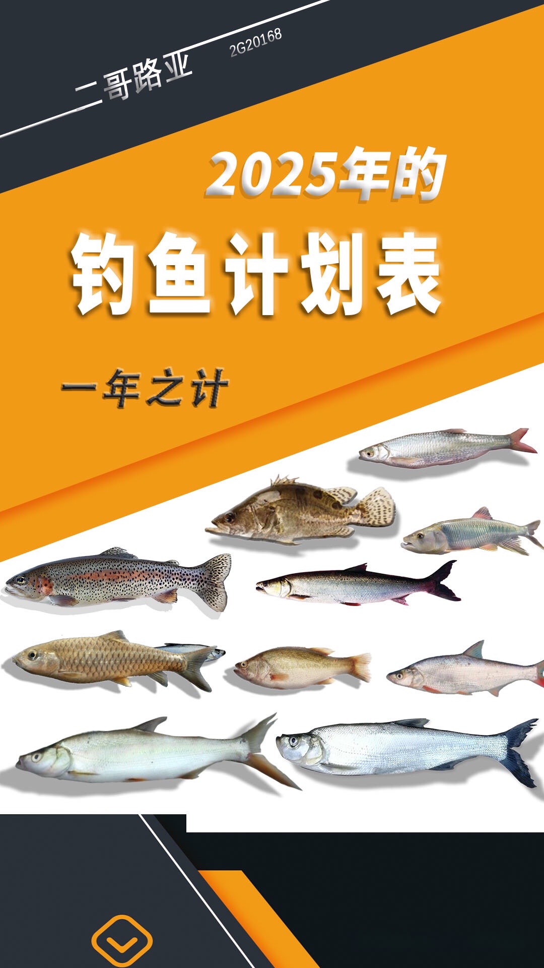 北方几月可以路亚(北方路亚季节)